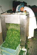 Vegetable Shredder in use